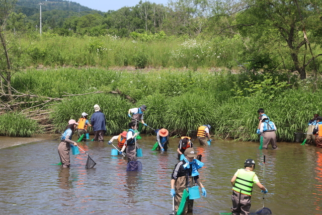 北海道のみんなと。江丹別川を特定外来生物ウチダザリガニから守ろう