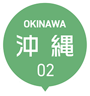 OKINAWA 沖縄 02